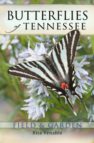 butterfly_cover_1024x1024